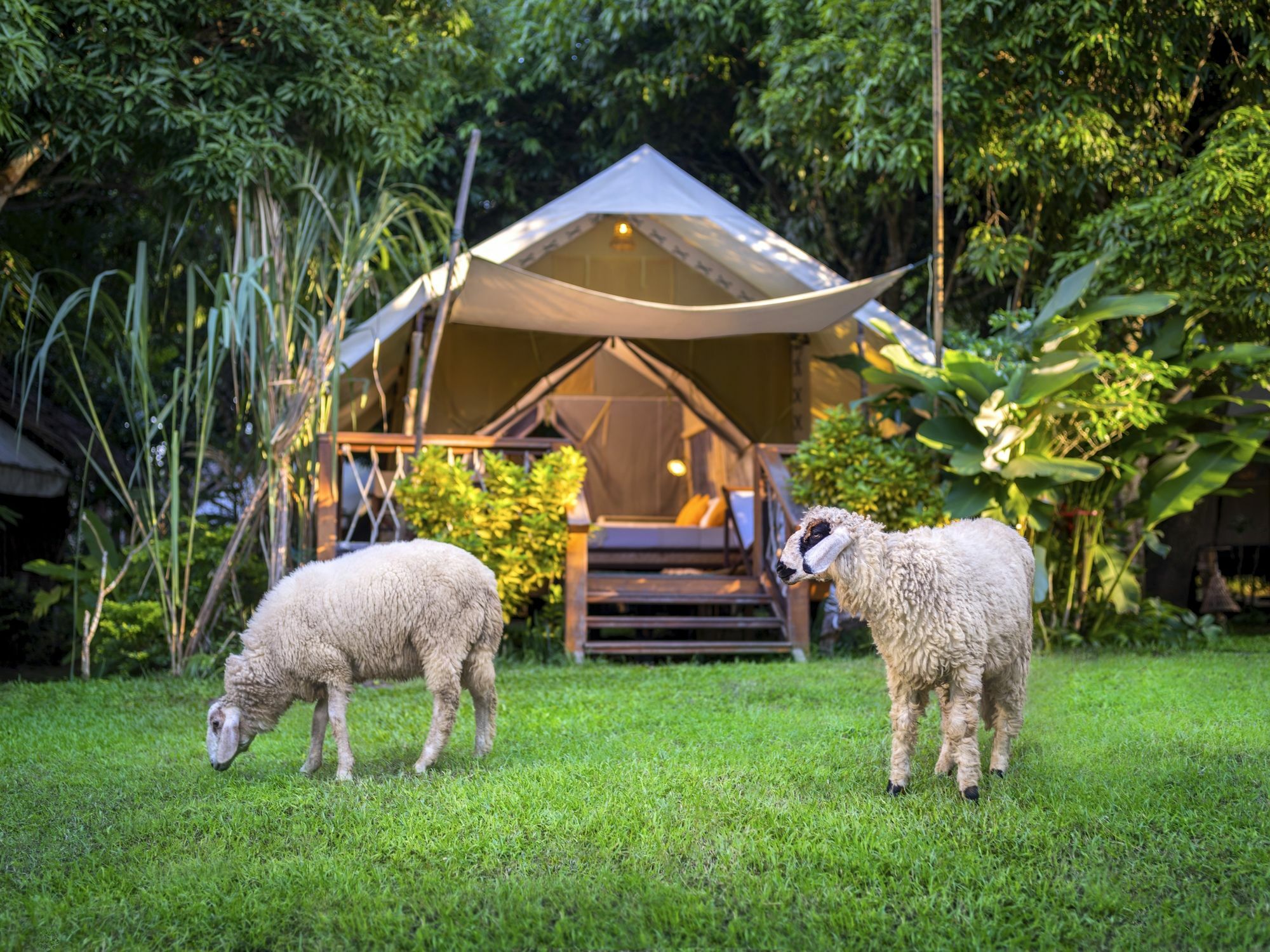 Hintok River Camp Sai Yok Luaran gambar